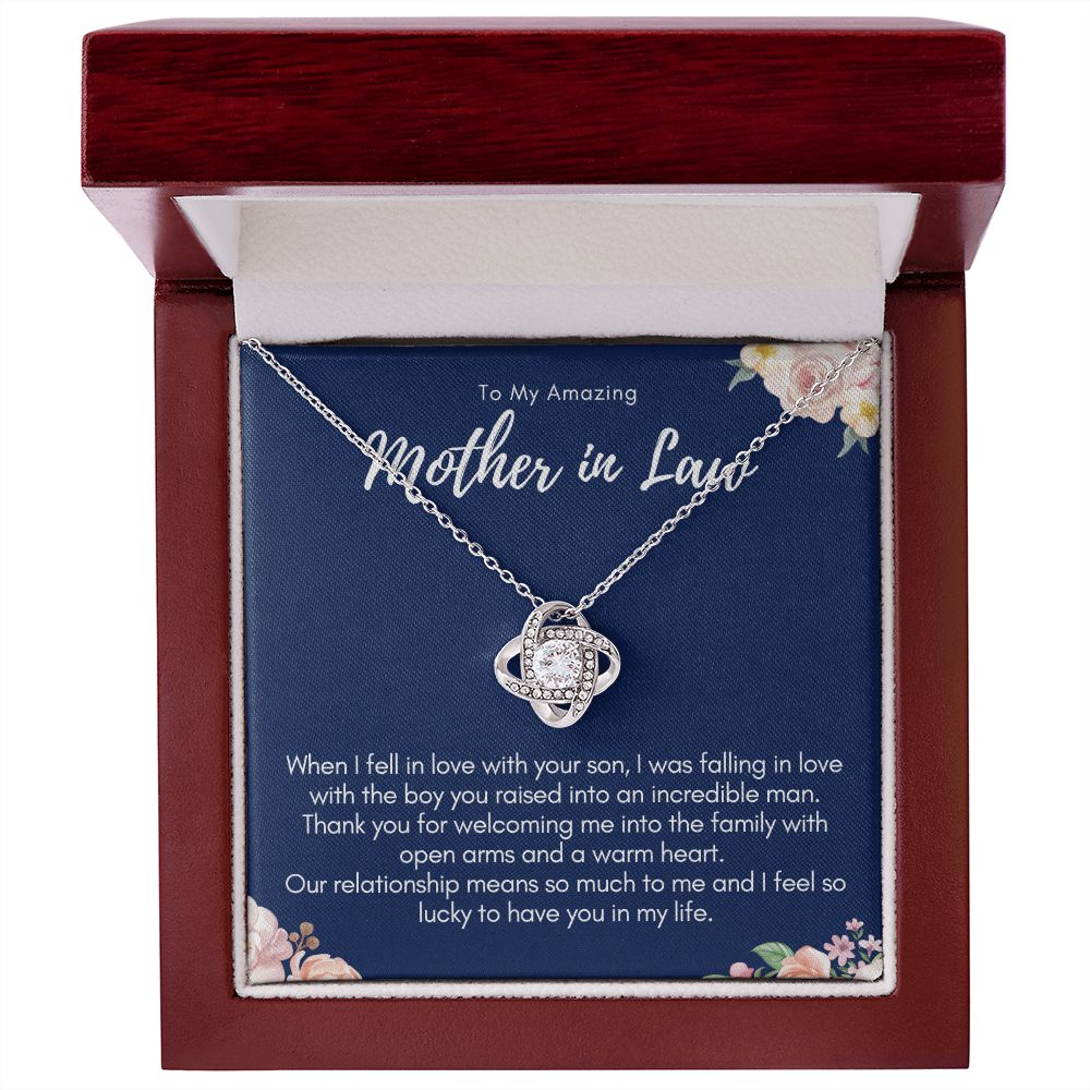 mother  in law, mil4 - plenty of reasons